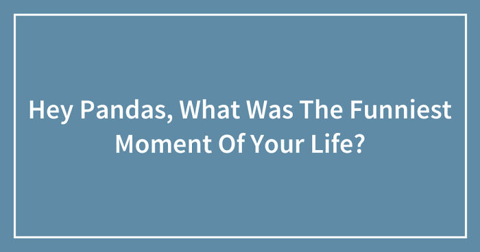 Hey Pandas, What Was The Funniest Moment Of Your Life? (Closed)