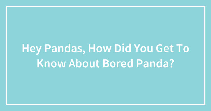 Hey Pandas, How Did You Get To Know About Bored Panda? (Closed)