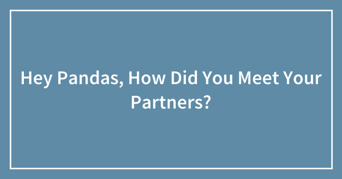 Hey Pandas, How Did You Meet Your Partners? (Closed)