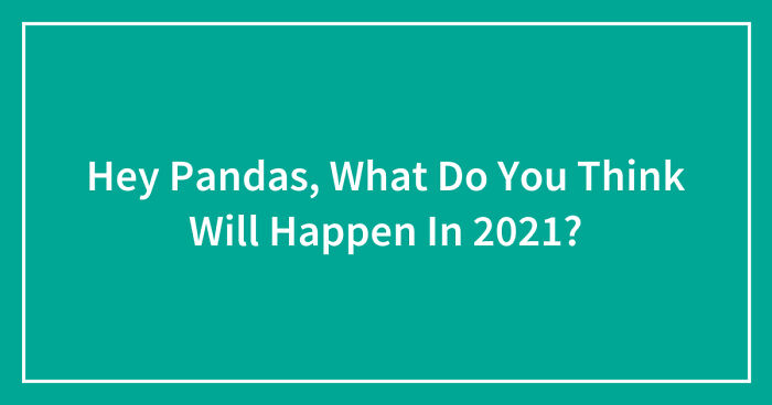 Hey Pandas, What Do You Think Will Happen In 2021? (Closed)