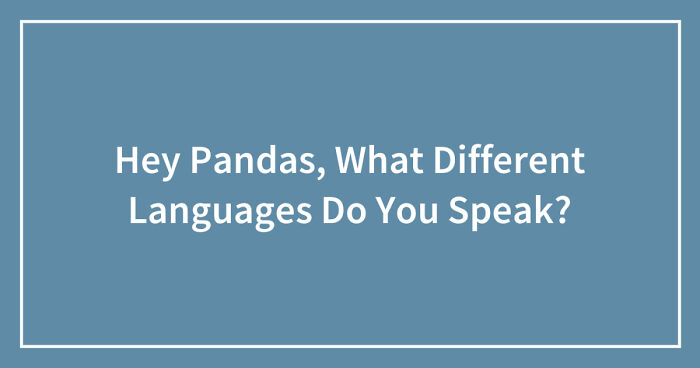 Hey Pandas, What Different Languages Do You Speak? (Closed)