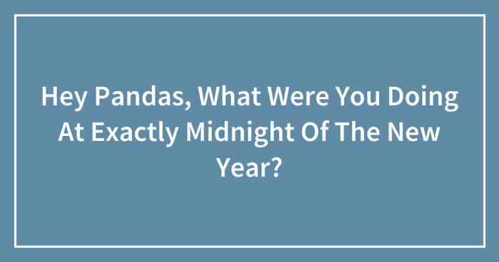 Hey Pandas, What Were You Doing At Exactly Midnight Of The New Year? (Closed)