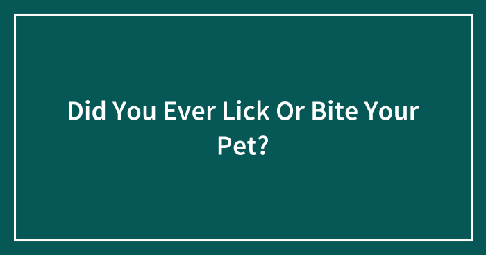 Did You Ever Lick Or Bite Your Pet?