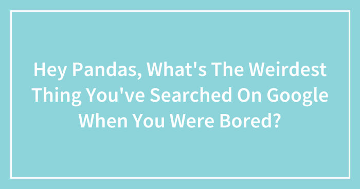 Hey Pandas, What’s The Weirdest Thing You’ve Searched On Google When You Were Bored? (Closed)