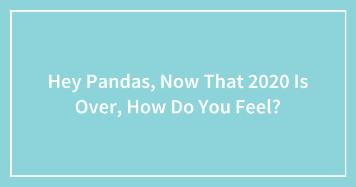 Hey Pandas, Now That 2020 Is Over, How Do You Feel? (Closed)