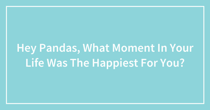 Hey Pandas, What Moment In Your Life Was The Happiest For You? (Closed)