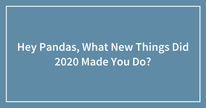 Hey Pandas, What New Things Did 2020 Made You Do? (Closed)