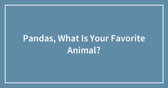 Pandas, What Is Your Favorite Animal?