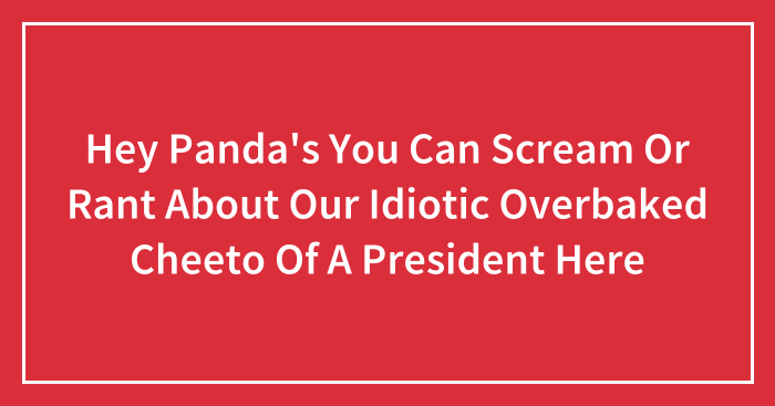 Hey Panda’s You Can Scream Or Rant About Our Idiotic Overbaked Cheeto Of A President Here