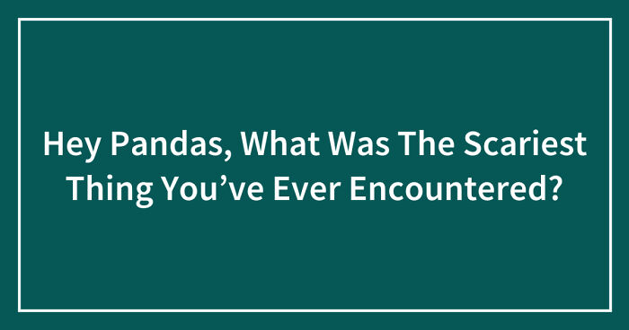 Hey Pandas, What Was The Scariest Thing You’ve Ever Encountered? (Closed)