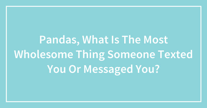 Pandas, What Is The Most Wholesome Thing Someone Texted You Or Messaged You? (Closed)
