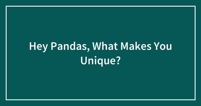 Hey Pandas, What Makes You Unique? (Closed)