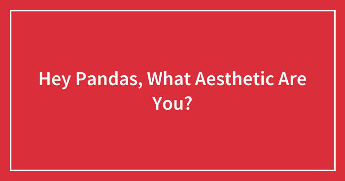 Hey Pandas, What Aesthetic Are You? (Closed)