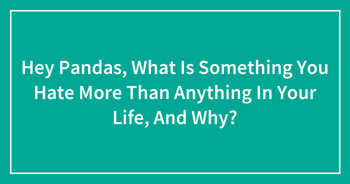 Hey Pandas, What Is Something You Hate More Than Anything In Your Life, And Why? (Closed)
