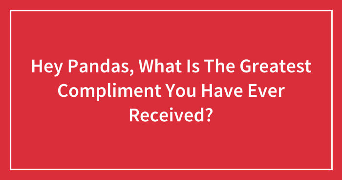 Hey Pandas, What Is The Greatest Compliment You Have Ever Received? (Closed)