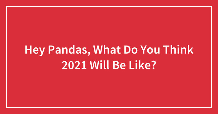 Hey Pandas, What Do You Think 2021 Will Be Like? (Closed)
