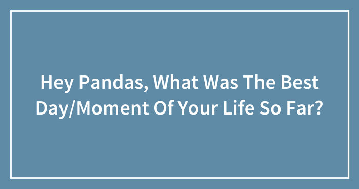 Hey Pandas, What Was The Best Day/Moment Of Your Life So Far? (Closed)
