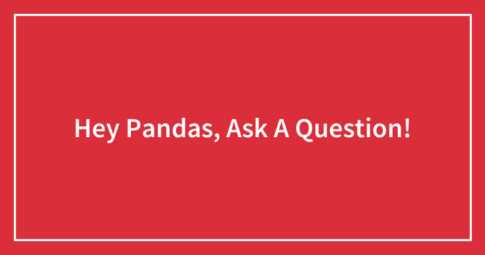 Hey Pandas, Ask A Question! (Closed)