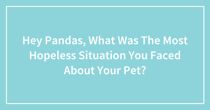 Hey Pandas, What Was The Most Hopeless Situation You Faced About Your Pet? (Closed)