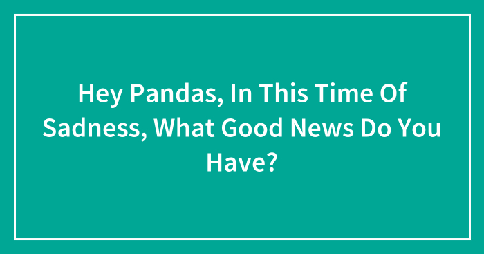 Hey Pandas, In This Time Of Sadness, What Good News Do You Have? (Closed)