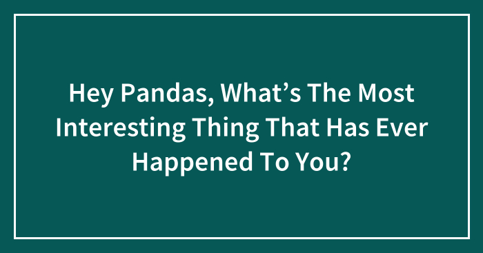 Hey Pandas, What’s The Most Interesting Thing That Has Ever Happened To You? (Closed)