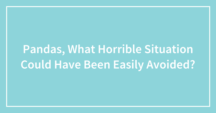 Pandas, What Horrible Situation Could Have Been Easily Avoided? (Closed)