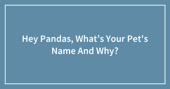 Hey Pandas, What’s Your Pet’s Name And Why? (Closed)