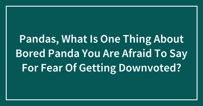 Pandas, What Is One Thing About Bored Panda You Are Afraid To Say For Fear Of Getting Downvoted? (Closed)