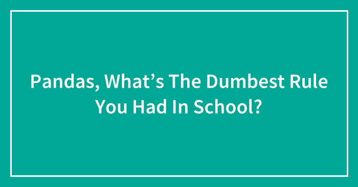 Pandas, What’s The Dumbest Rule You Had In School? (Closed)