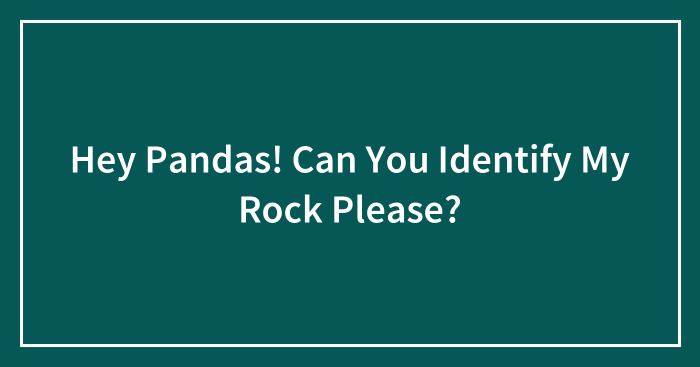 Hey Pandas! Can You Identify My Rock Please?