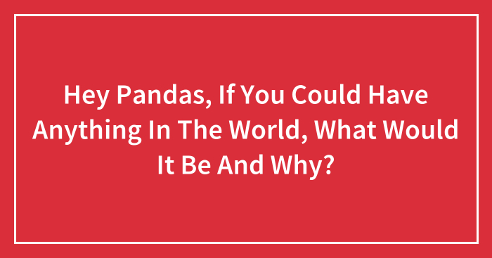 Hey Pandas, If You Could Have Anything In The World, What Would It Be And Why? (Closed)