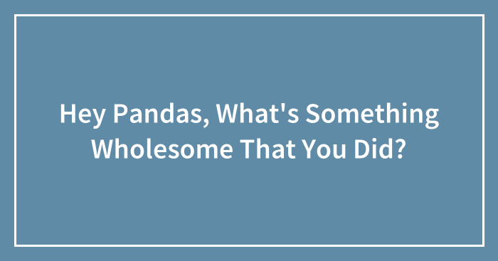 Hey Pandas, What’s Something Wholesome That You Did? (Closed)
