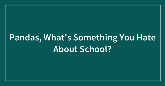 Pandas, What’s Something You Hate About School? (Closed)