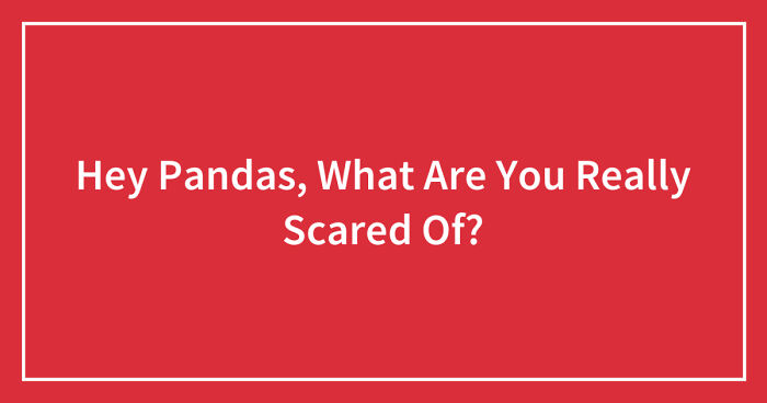 Hey Pandas, What Are You Really Scared Of? (Closed)