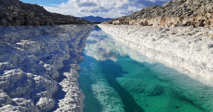 Pandas, What Picture (Taken On Your Phone) Are You Most Proud Of? (Closed)