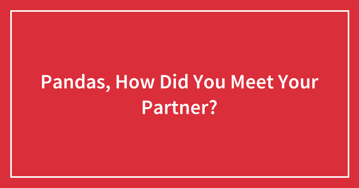 Pandas, How Did You Meet Your Partner? (Closed)