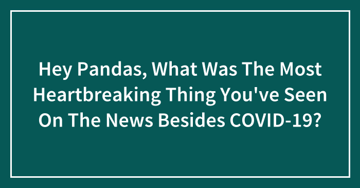 Hey Pandas, What Was The Most Heartbreaking Thing You’ve Seen On The News Besides COVID-19? (Closed)