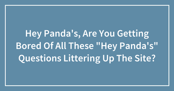 Hey Panda’s, Are You Getting Bored Of All These “Hey Panda’s” Questions Littering Up The Site?