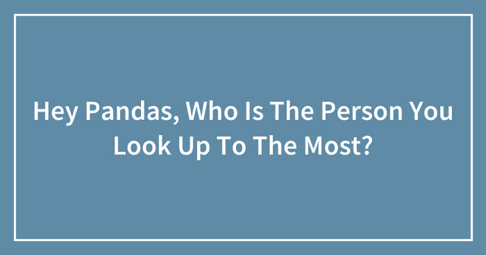 Hey Pandas, Who Is The Person You Look Up To The Most? (Closed)