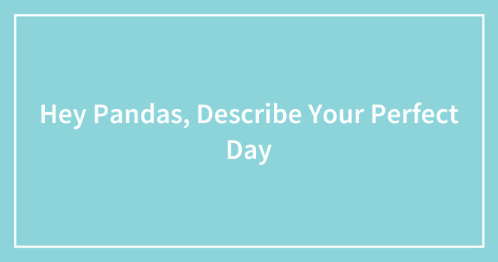 Hey Pandas, Describe Your Perfect Day (Closed)