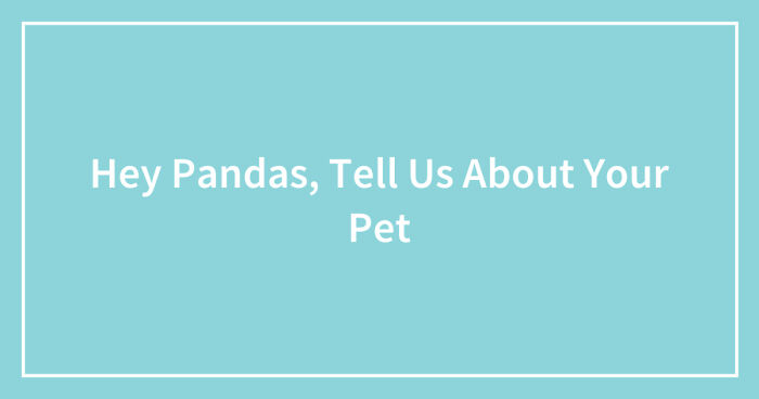 Hey Pandas, Tell Us About Your Pet (Closed)
