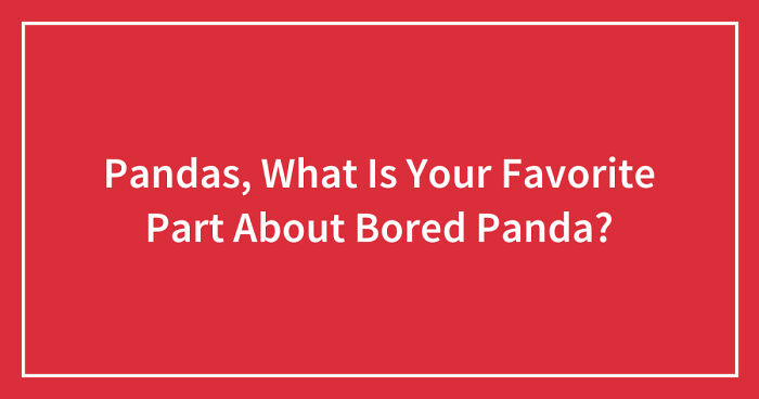 Pandas, What Is Your Favorite Part About Bored Panda? (Closed)