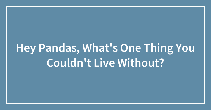 Hey Pandas, What’s One Thing You Couldn’t Live Without? (Closed)