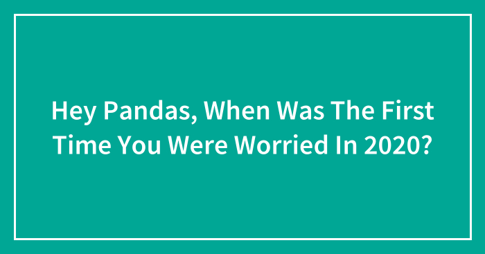 Hey Pandas, When Was The First Time You Were Worried In 2020? (Closed)