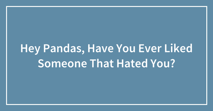 Hey Pandas, Have You Ever Liked Someone That Hated You? (Closed)