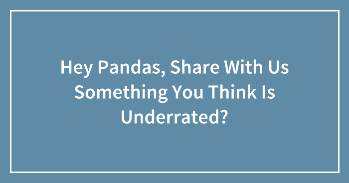 Hey Pandas, Share With Us Something You Think Is Underrated? (Closed)