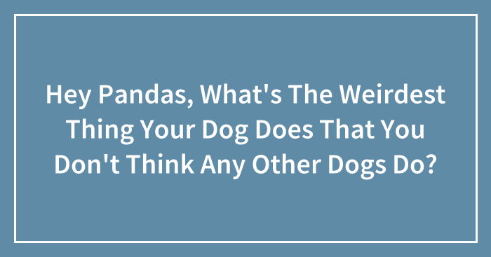 Hey Pandas, What’s The Weirdest Thing Your Dog Does That You Don’t Think Any Other Dogs Do? (Closed)