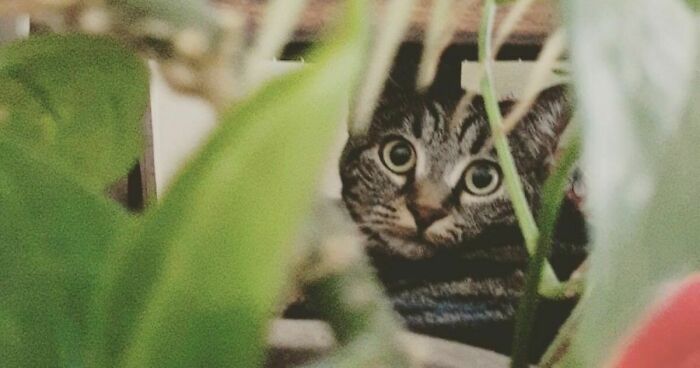 Hey Pandas, What’s The Best Photo You’ve Ever Taken? (Closed)