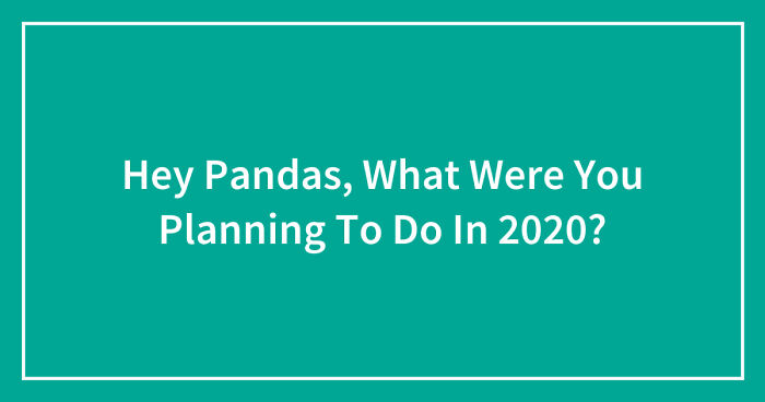 Hey Pandas, What Were You Planning To Do In 2020? (Closed)