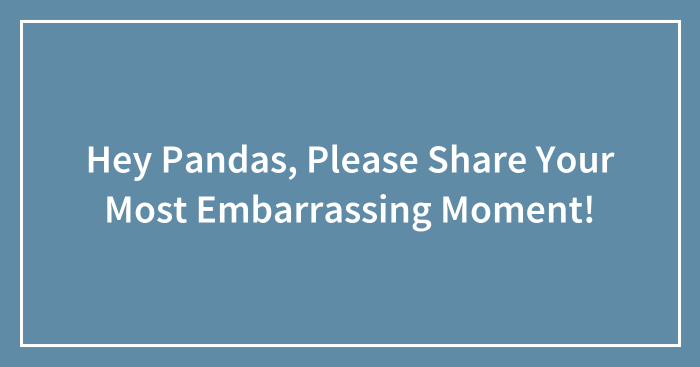 Hey Pandas, Please Share Your Most Embarrassing Moment!